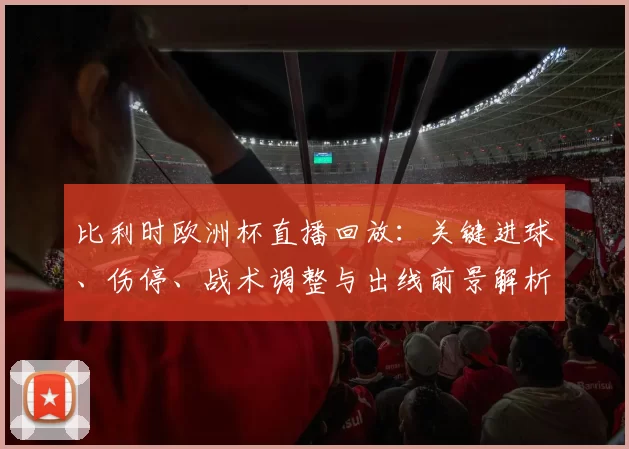 比利时欧洲杯直播回放：关键进球、伤停、战术调整与出线前景解析