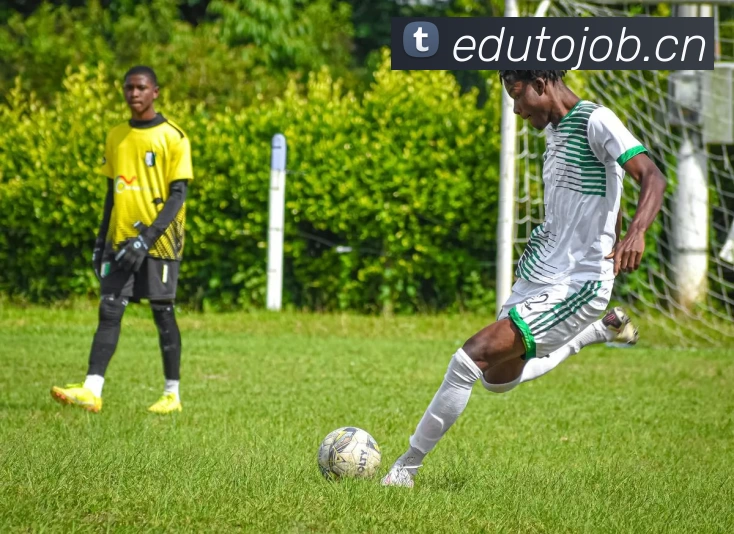 多媒体互动体验