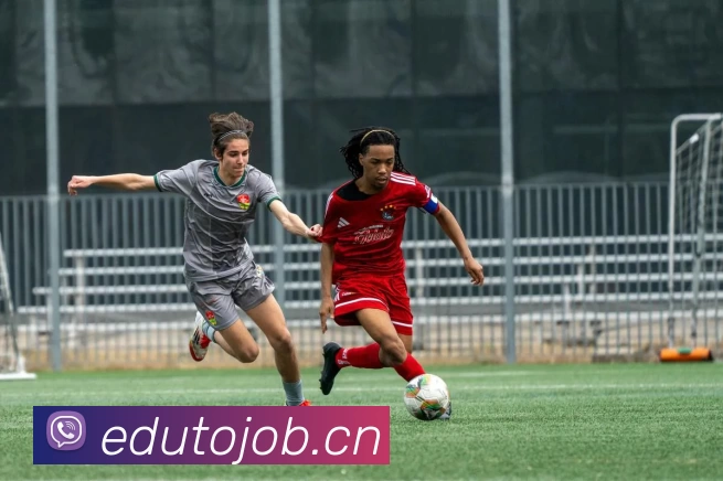 世界杯在线无插件直播APP 体育赛事宣传图